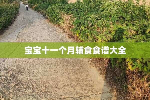 宝宝十一个月辅食食谱大全