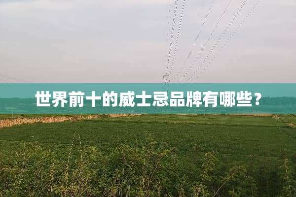 世界前十的威士忌品牌有哪些？