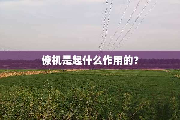 僚机是起什么作用的？