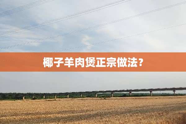 椰子羊肉煲正宗做法？