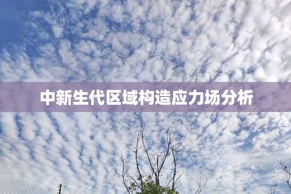 中新生代区域构造应力场分析