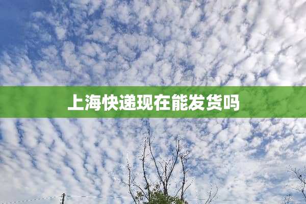 上海快递现在能发货吗