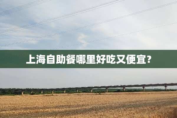 上海自助餐哪里好吃又便宜？