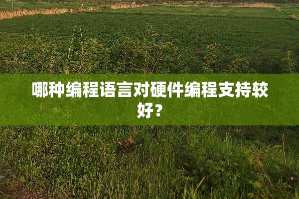 哪种编程语言对硬件编程支持较好？