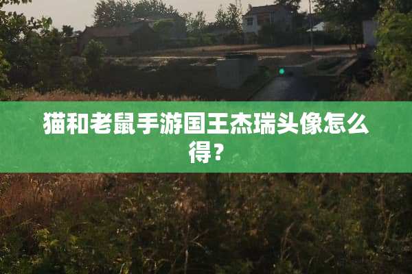 猫和老鼠手游国王杰瑞头像怎么得？