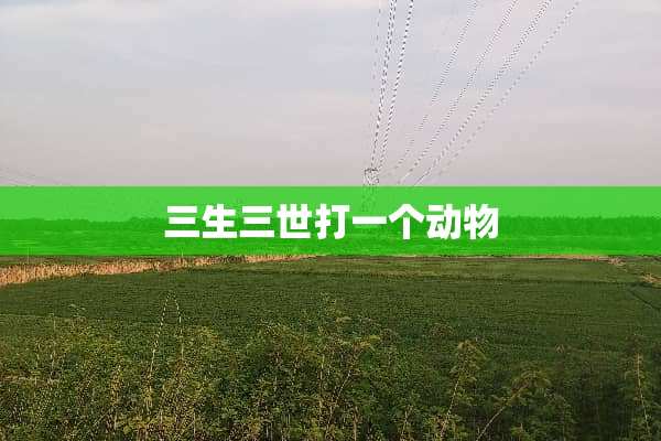 三生三世打一个动物