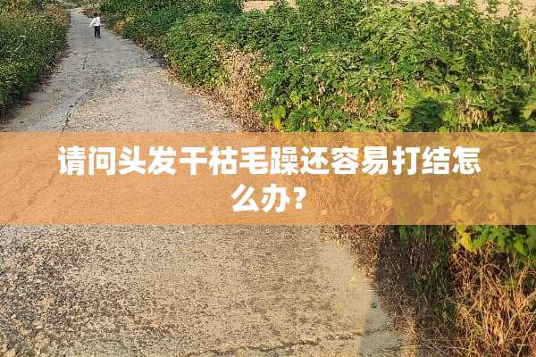 请问头发干枯毛躁还容易打结怎么办？