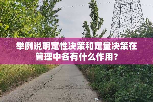 举例说明定性决策和定量决策在管理中各有什么作用？