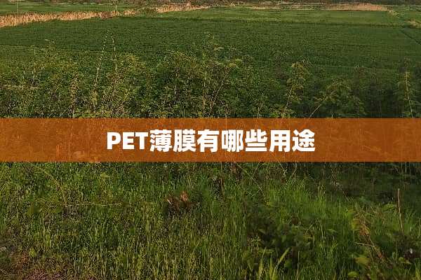 PET薄膜有哪些用途