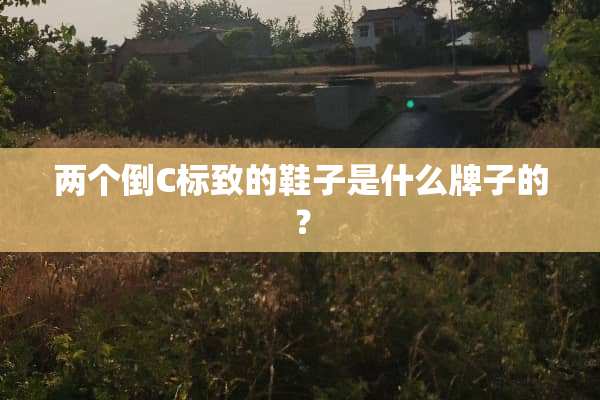 两个倒C标致的鞋子是什么牌子的？