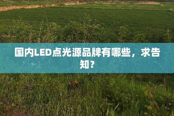 国内LED点光源品牌有哪些，求告知？