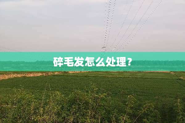 碎毛发怎么处理？