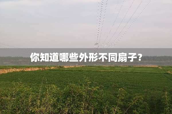 你知道哪些外形不同扇子？