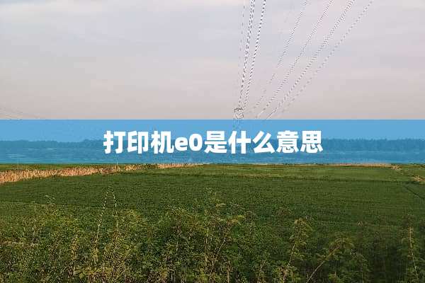 打印机e0是什么意思