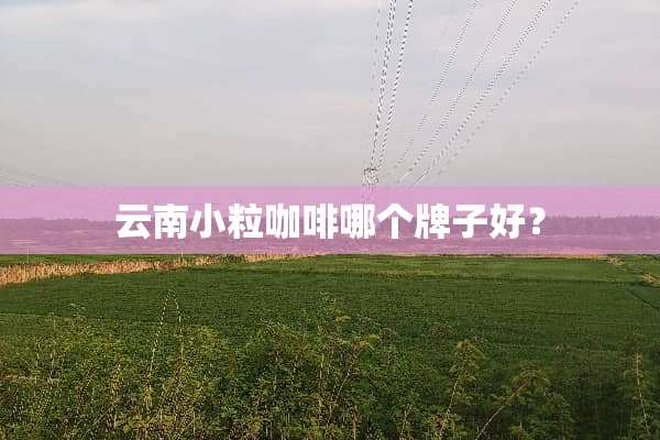 云南小粒咖啡哪个牌子好？