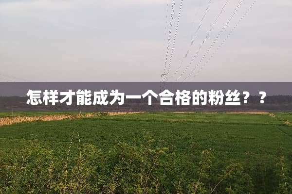 怎样才能成为一个合格的粉丝？？