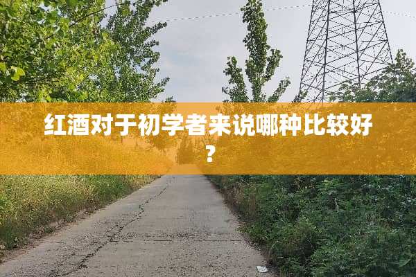 红酒对于初学者来说哪种比较好？