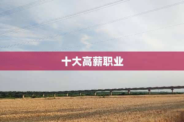 十大高薪职业