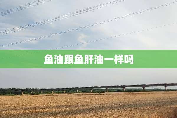 鱼油跟鱼肝油一样吗