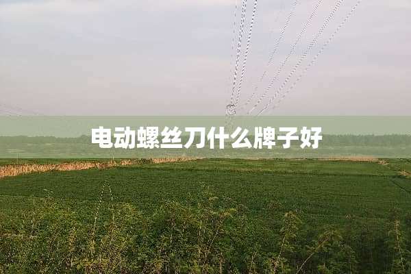 电动螺丝刀什么牌子好