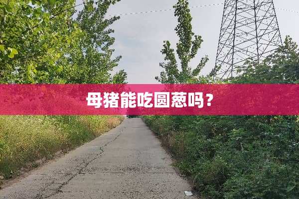 母猪能吃圆葱吗？