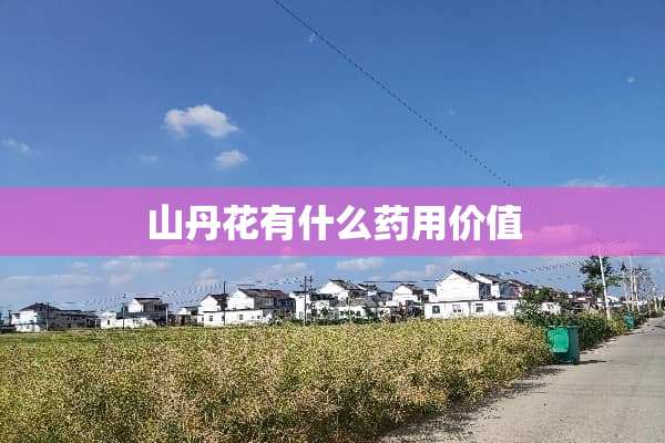 山丹花有什么药用价值