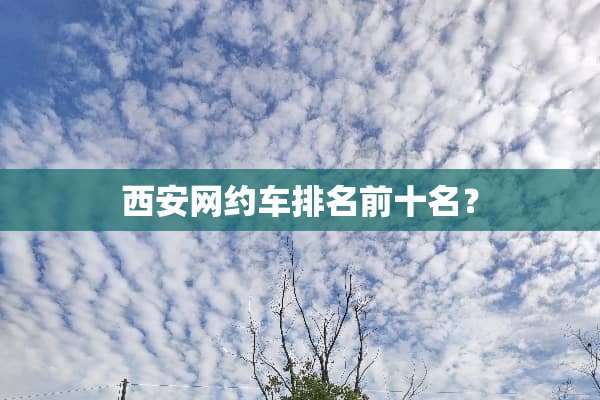 西安网约车排名前十名？