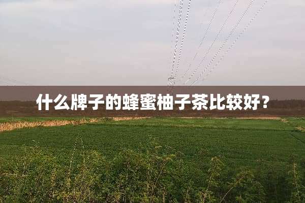 什么牌子的蜂蜜柚子茶比较好？