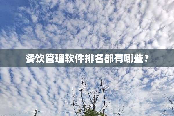 餐饮管理软件排名都有哪些？
