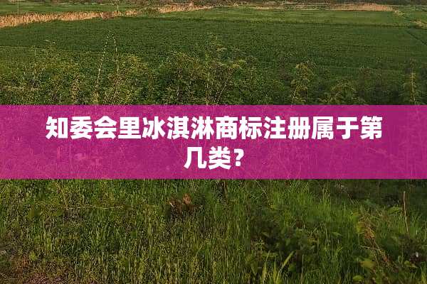 知委会里冰淇淋商标注册属于第几类？