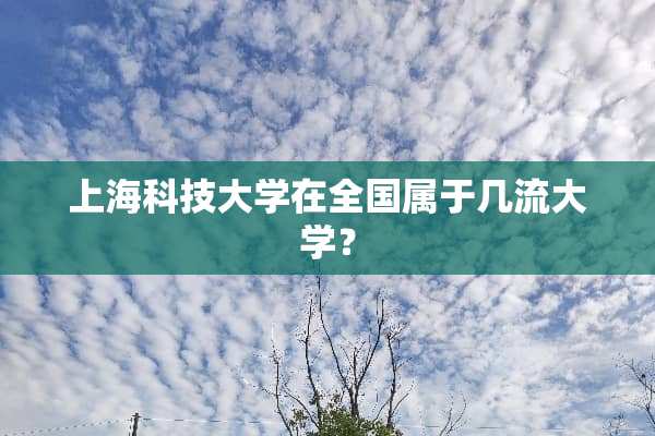 上海科技大学在全国属于几流大学？