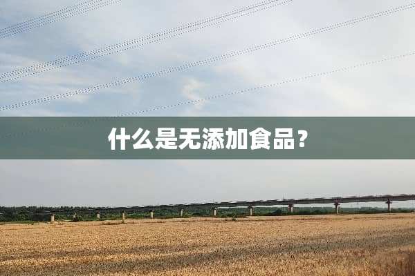 什么是无添加食品？