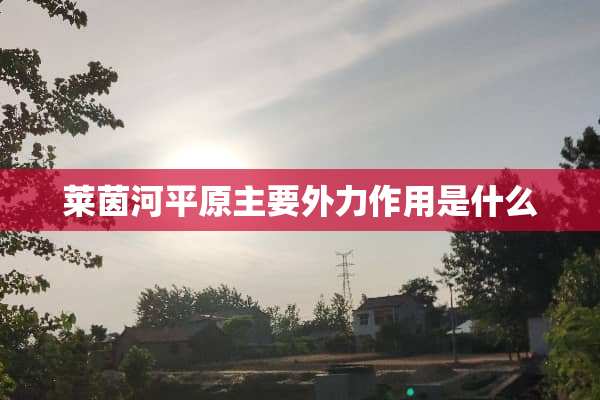 莱茵河平原主要外力作用是什么