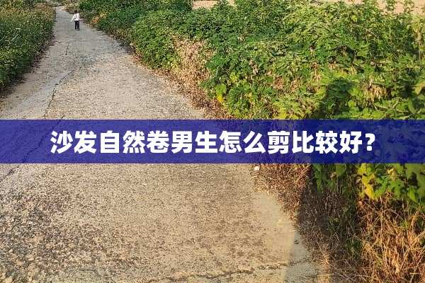 沙发自然卷男生怎么剪比较好？