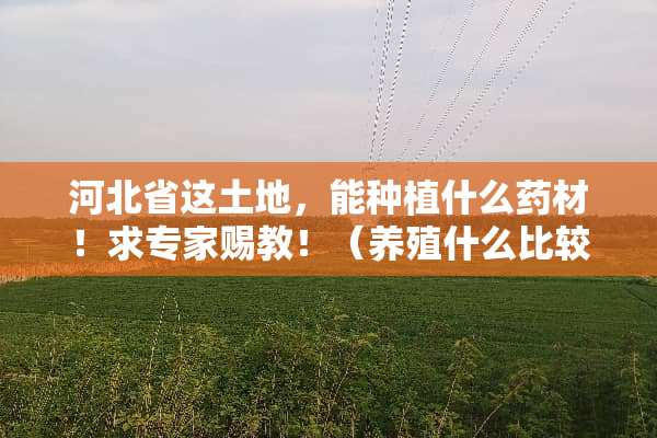 河北省这土地，能种植什么药材！求专家赐教！（养殖什么比较靠谱，什么比较有市场！）