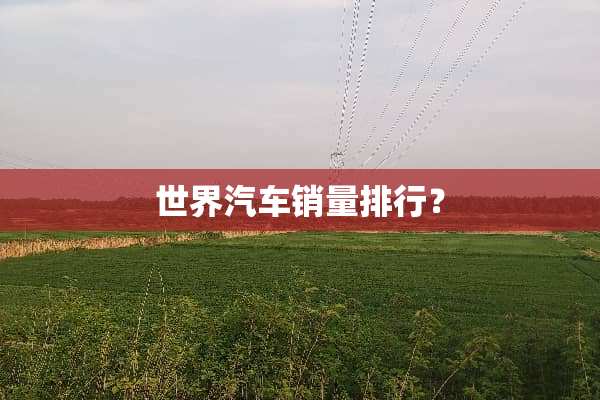世界汽车销量排行？