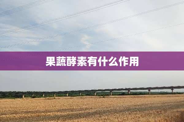 果蔬酵素有什么作用