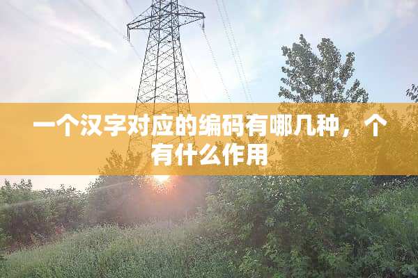 一个汉字对应的编码有哪几种，个有什么作用
