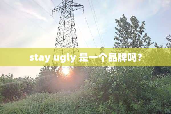 stay ugly 是一个品牌吗？