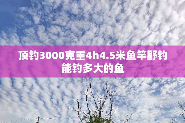 顶钓3000克重4h4.5米鱼竿野钓能钓多大的鱼