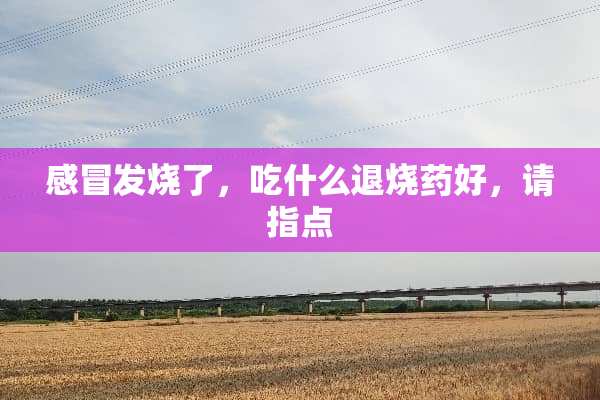 感冒发烧了，吃什么退烧药好，请指点
