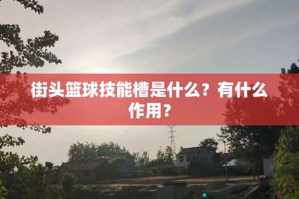 街头篮球技能槽是什么？有什么作用？