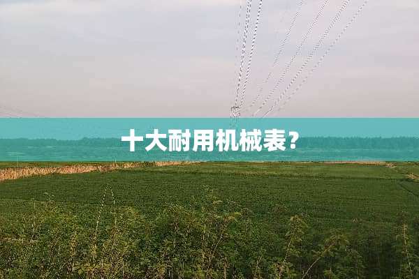 十大耐用机械表？