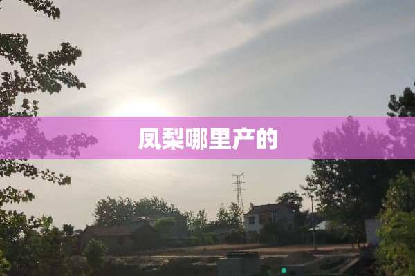凤梨哪里产的