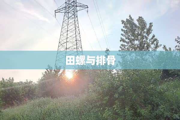 田螺与排骨