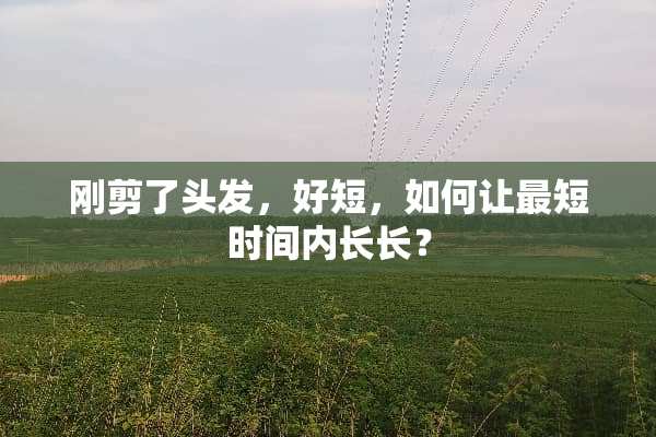 刚剪了头发，好短，如何让最短时间内长长？