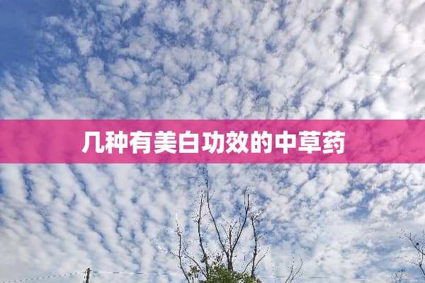 几种有美白功效的中草药