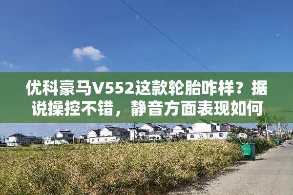 优科豪马V552这款轮胎咋样？据说操控不错，静音方面表现如何？
