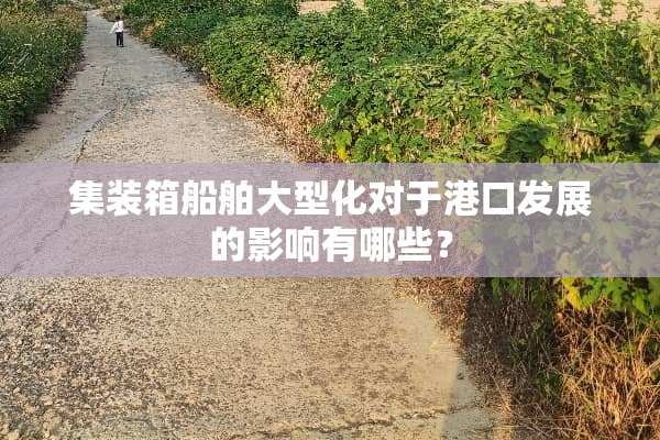 集装箱船舶大型化对于港口发展的影响有哪些？