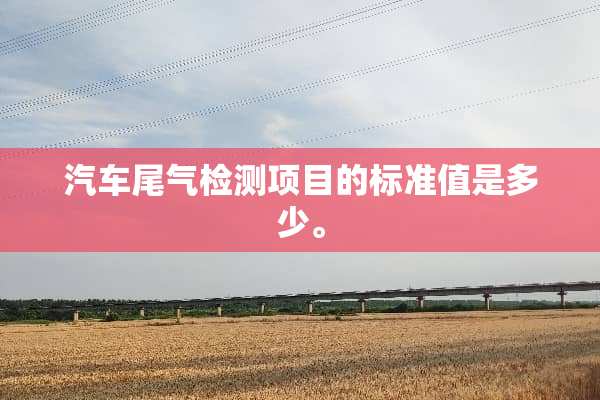 汽车尾气检测项目的标准值是多少。